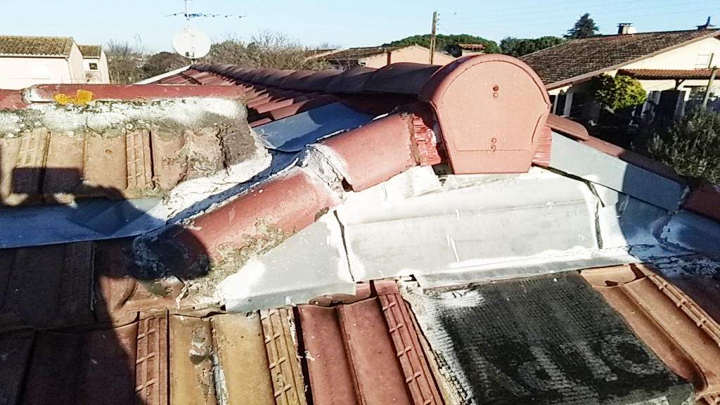 Nettoyage et couverture de toit 31